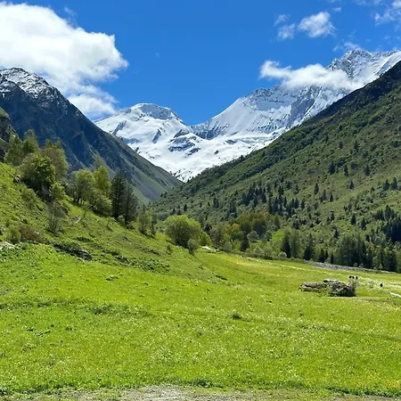 Domek alpejski Gaston La Plagne